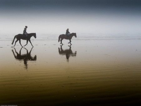 Equestrian Riders on the Beach at Sunset