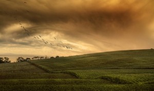 healing silence when time stops